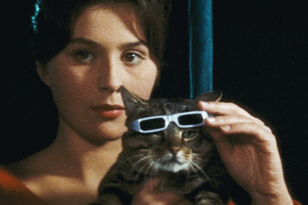 The Cassandra Cat (1963)