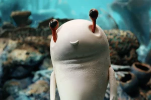 9 Million Colors (2025) Photo © Bionaut