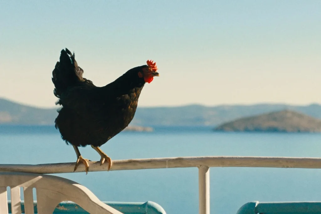The Hen (2025)